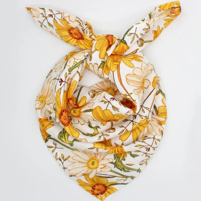 S0ed78eb7cddf4f029c035c27ee3870c73