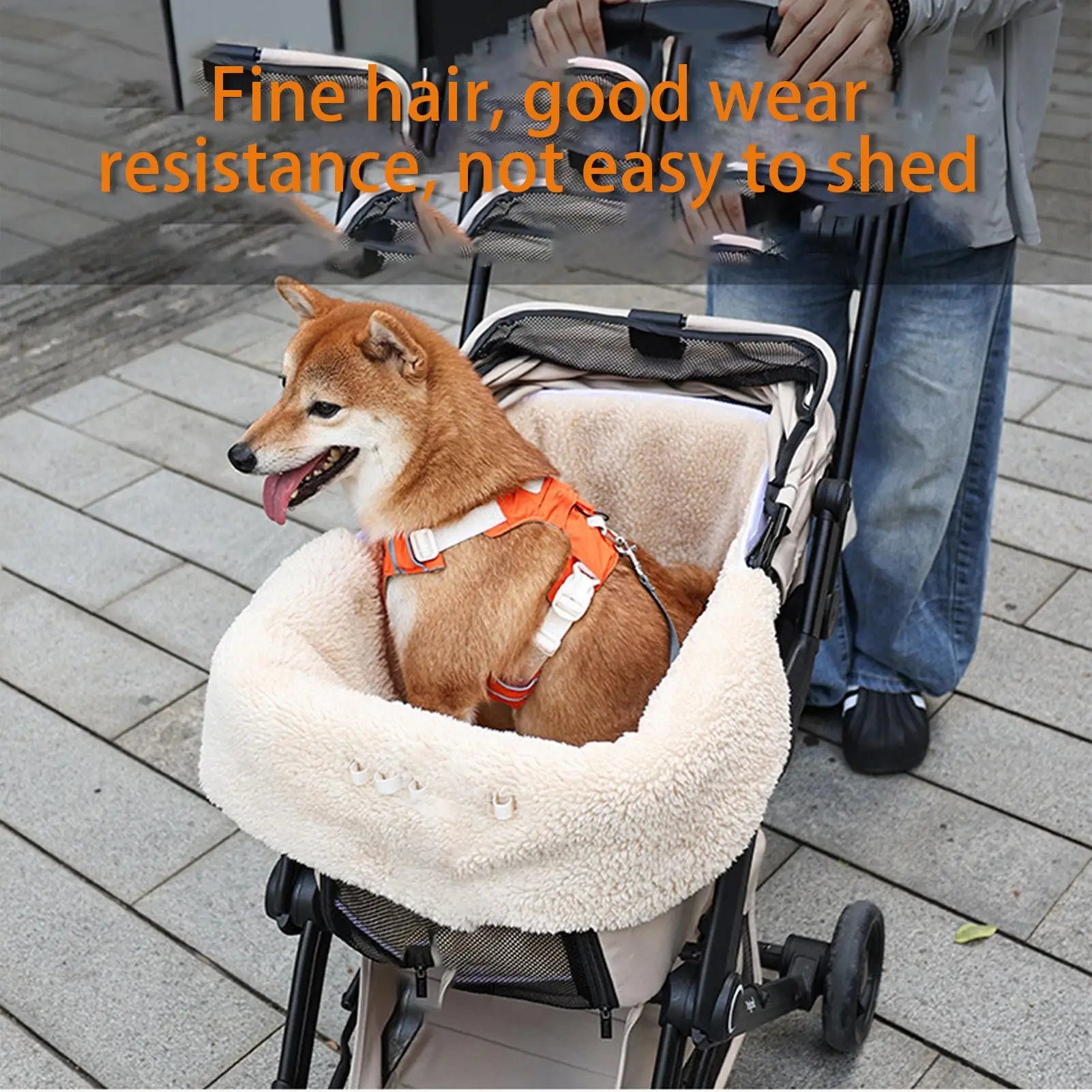 Sa05f09ea5aff44a5a5f5945b5a02c218Q