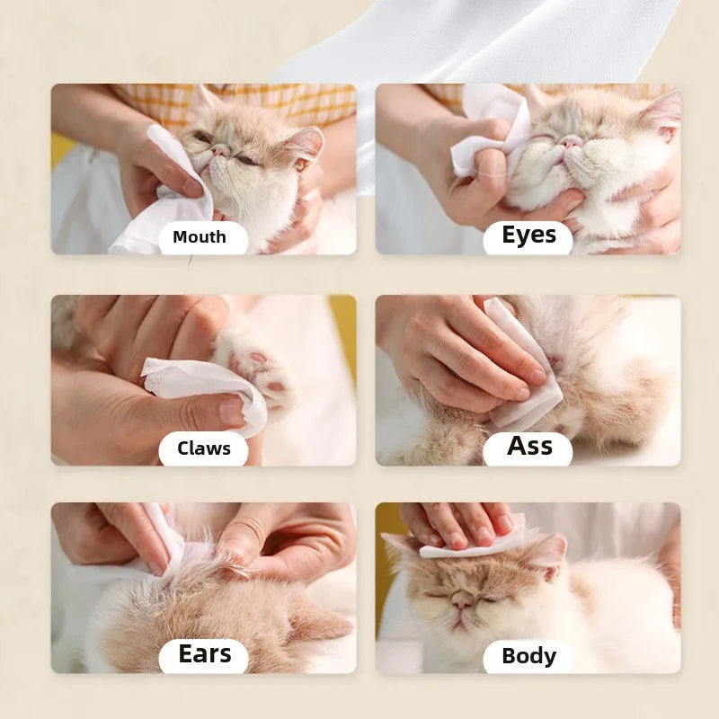 Sa4251f3fb5b642ee95fe95c62a9d0664A