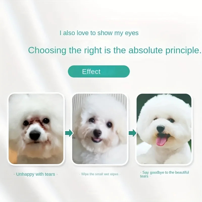 Saf7a9eab300741a1af5c36c3c40f2728Y